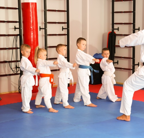 Práctica de Karate